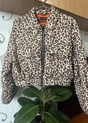 Куртка zara тигрова