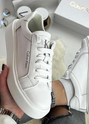 Кеди calvin surplus білі