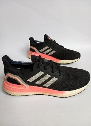 Кросівки india adidas primeblue