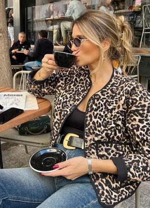 Куртка zara новая коллекция