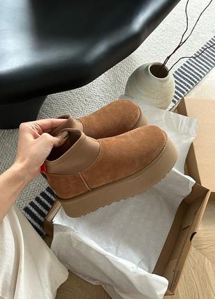 Ugg угг  уггі угги tazz tasman