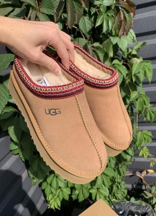 Ugg угг угги уггі tazz