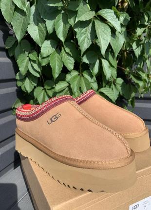 Ugg угг угги уггі tazz 3