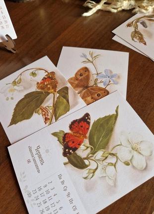 Календарь 2025 с бабочками (но.1)