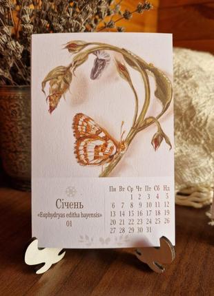 Календарь 2025 с бабочками (но.1)