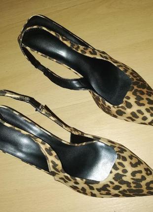 Мюлі леопард гострий мис під замш 39  р4 фото