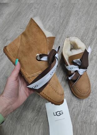 Угг сапоги женские ржи каштановые замшевые ugg webbing hair authentic chestnut