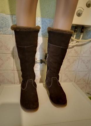 Сапоги натуральная замша.