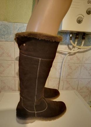 Тёплые сапоги натуральная замша.