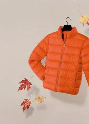 Куртка стограмівка🫶 якість шикарна