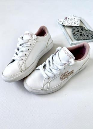 Кроссовки lacoste (оригинал) 29 р-р