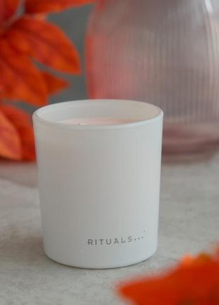 Ароматическая свеча rituals the ritual of sakura scented candle