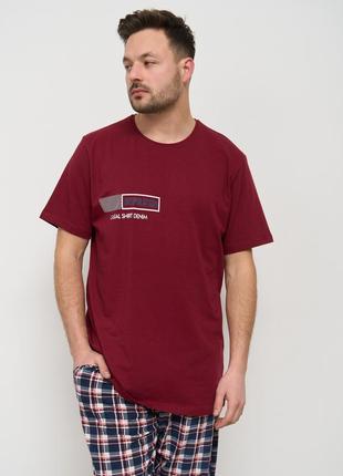 Чоловічі комплекти для дому: футболка і штани 939289 фото