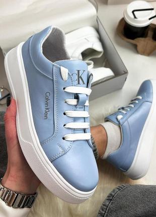 Кеди calvin surplus блакитні