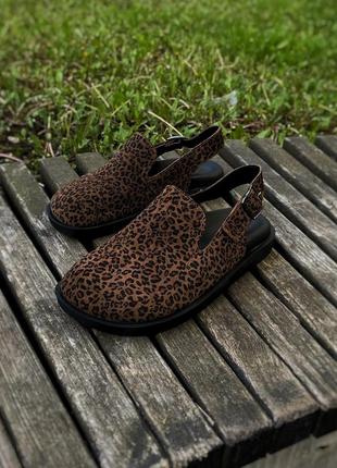 Леопардовые тапочки клоги  сабо женские limited collection