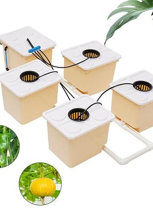 Гідропоніка вирощування рослин у закритому ґрунті для зернових культур овочі трави салати