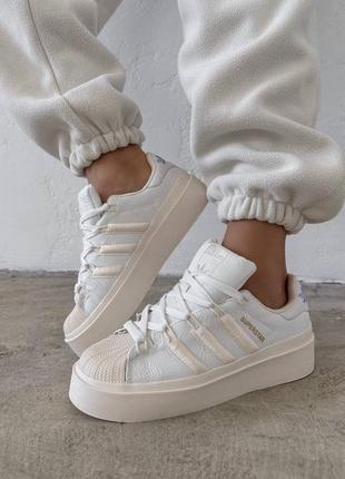 Уцінка adidas superstar beige white1 фото