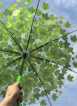 Зонт трость прозрачный c кленовыми листьями