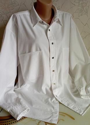 Белая базовая коттоновая рубашка3 фото