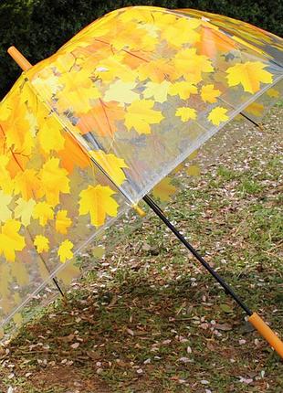 Зонт трость кленовые листья с прозрачным куполом