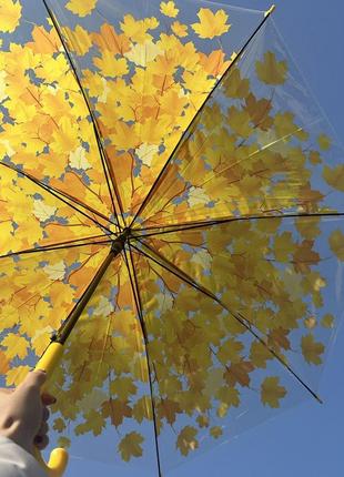 Зонт трость кленовые листья с прозрачным куполом