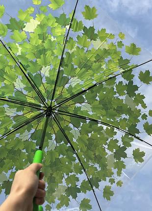 Зонт трость кленовые листья с прозрачным куполом