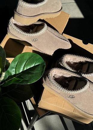 Уггі ugg Сапоги tasman