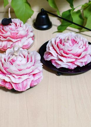 Свічка півонія 3