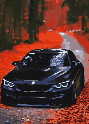 Картина по номерам bmw  40 х 50 artissimo pn9652