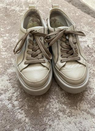 Продам бежевые кеды кроссовки на платформе стан отличный 36р (23см)1 фото
