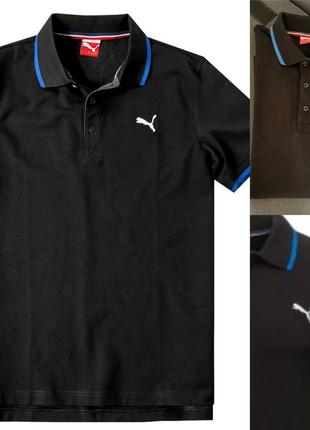 Polo puma
