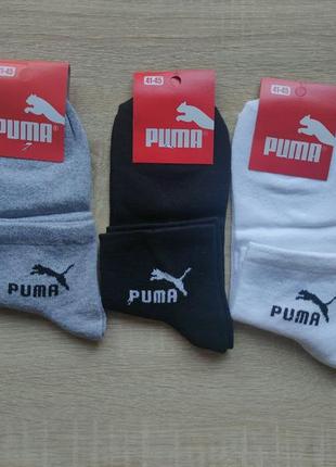 Шкарпетки чоловічі спортивні 3 шт бавовна puma розмір 41-45 набір шкарпеток для чоловіків