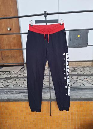 Спортивные штаны napapijri оригинал