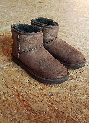 Коричневые зимние угги ugg