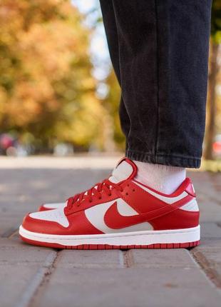 Чоловічі кросівки nike sb dunk low retro medium grey red знижка sale | smb1 фото