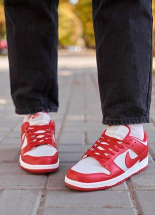 Чоловічі кросівки nike sb dunk low retro medium grey red знижка sale | smb7 фото