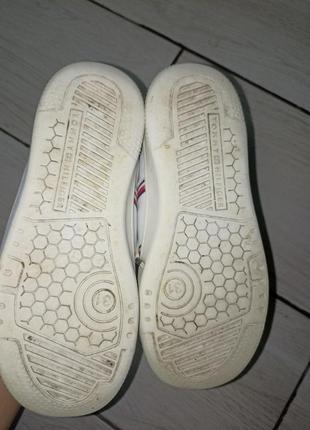 Кросівки tommy hilfiger 5