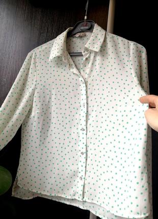 Шикпнная, новая, рубашка блуза блузка горох.2 фото