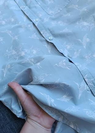 Світло блакитна сорочка з короткими рукавами принт лелеки4 фото