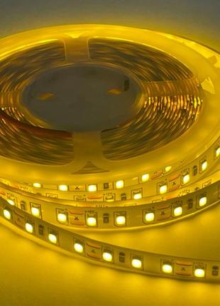 Светодиодная лента 3528-120led-8mm-12v, ip20 желтый-золотой