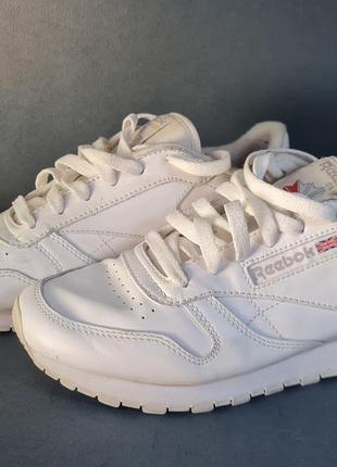 Reebok classic 38р 24см кроссовки2 фото