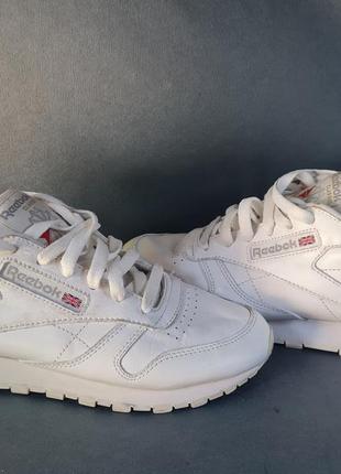 Reebok classic 38р 24см кроссовки1 фото