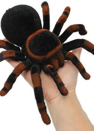 Дитяча іграшка павук тарантул на радіокеруванні