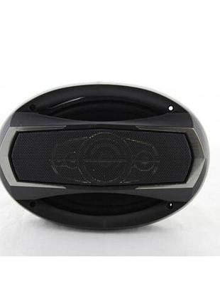 Автоакустика ts 6995 max 600w (6)