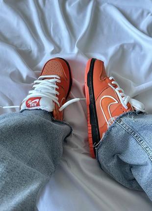 Nike dunk concepts x orange lobster