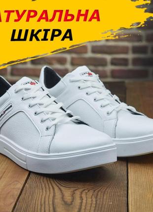 Демисезонные кеды мужские белые tommy hilfiger под джинсы, осенние кожаные повседневные кеды *н-4-білі* real