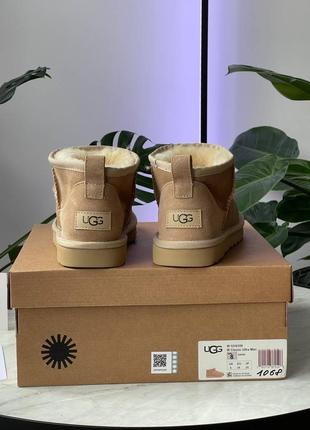 Жіночі уггі топ якість 🥑