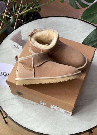 Жіночі уггі топ якість 🥑