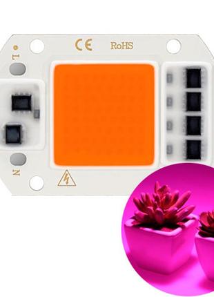 Светодиодная фито матрица с драйвером cob led 50вт 220в фитосветодиод