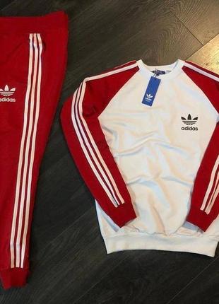 Мужской спортивный костюм свитшот и штаны adidas